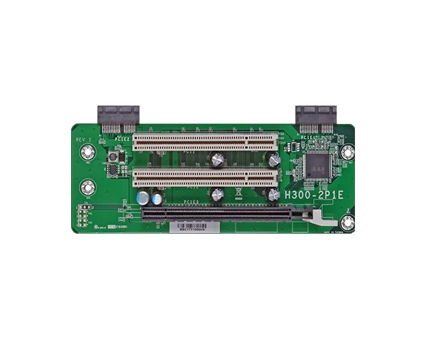 H300-2P1E